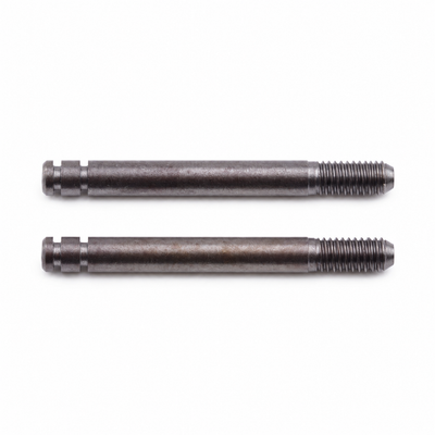 Tamiya Zuigerpennen (2 stuks) 9805548