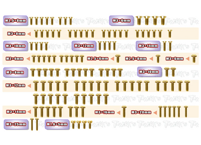 T-Work's Kit complet de Vis Acier Nitride Doré Team Asso B84 GSS-RCB84