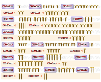 T-Work's Kit complet de Vis Acier Nitride Doré Team Asso RC8 B4.1E GSS-RC8B4.1E