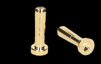 Beez2B Plug ø5mm Gold Male (x10p) BEEC2038M