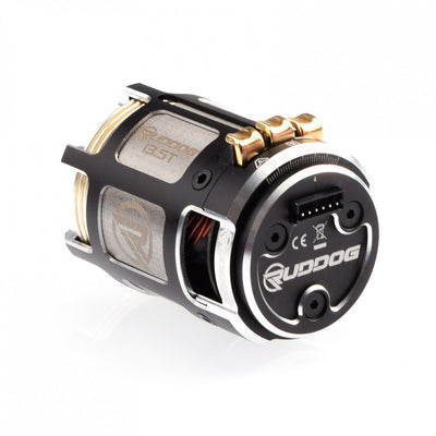 Ruddog Moteur RP542 Stock Brushless Sensored