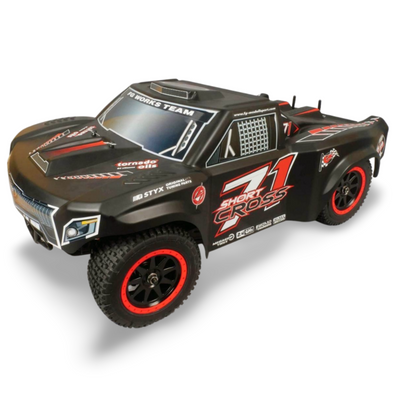 FG Buggy Short Cross 4WD F260 26cc RTR 68200R