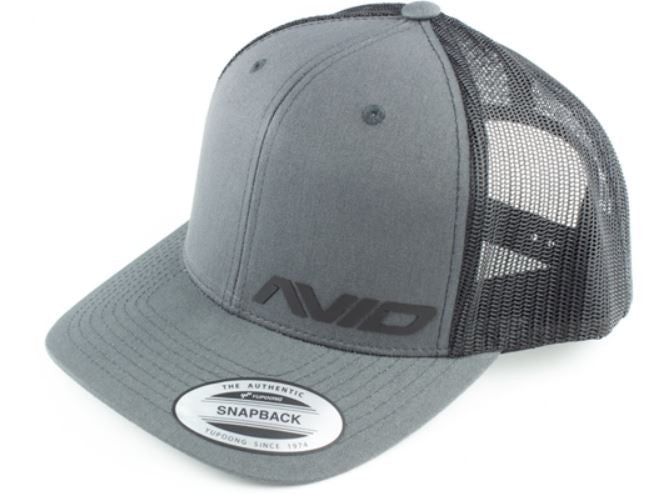 Avid Casquette courbée grise AV2003