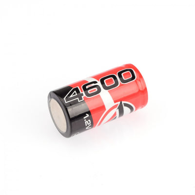 Ruddog Batterie NiMh 1.2V 4600mAh RP-0429