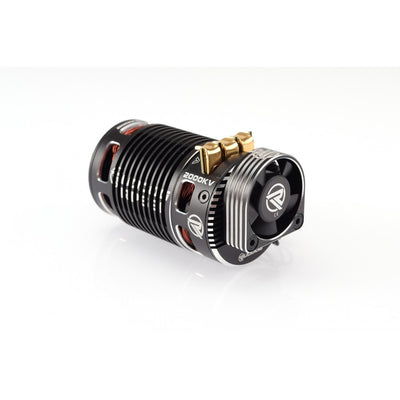 Ruddog Moteur RP691 Brushless 4269 Sensored